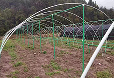 frp rod for arch beam