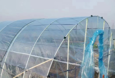 frp rod for arch beam