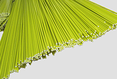 green grp rod